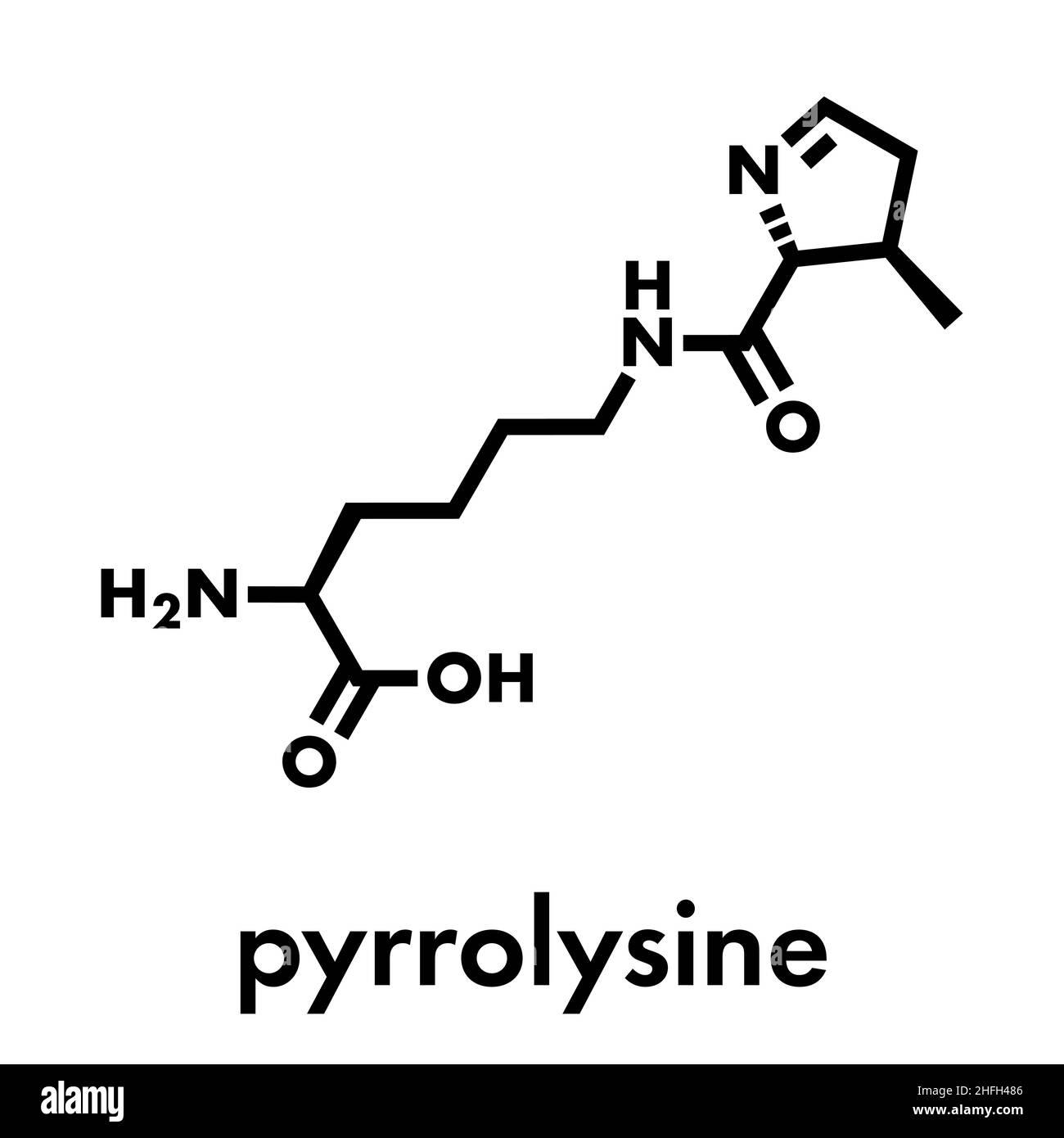 Pyrrolysine amino acid molecule Stock Vector Images Alamy
