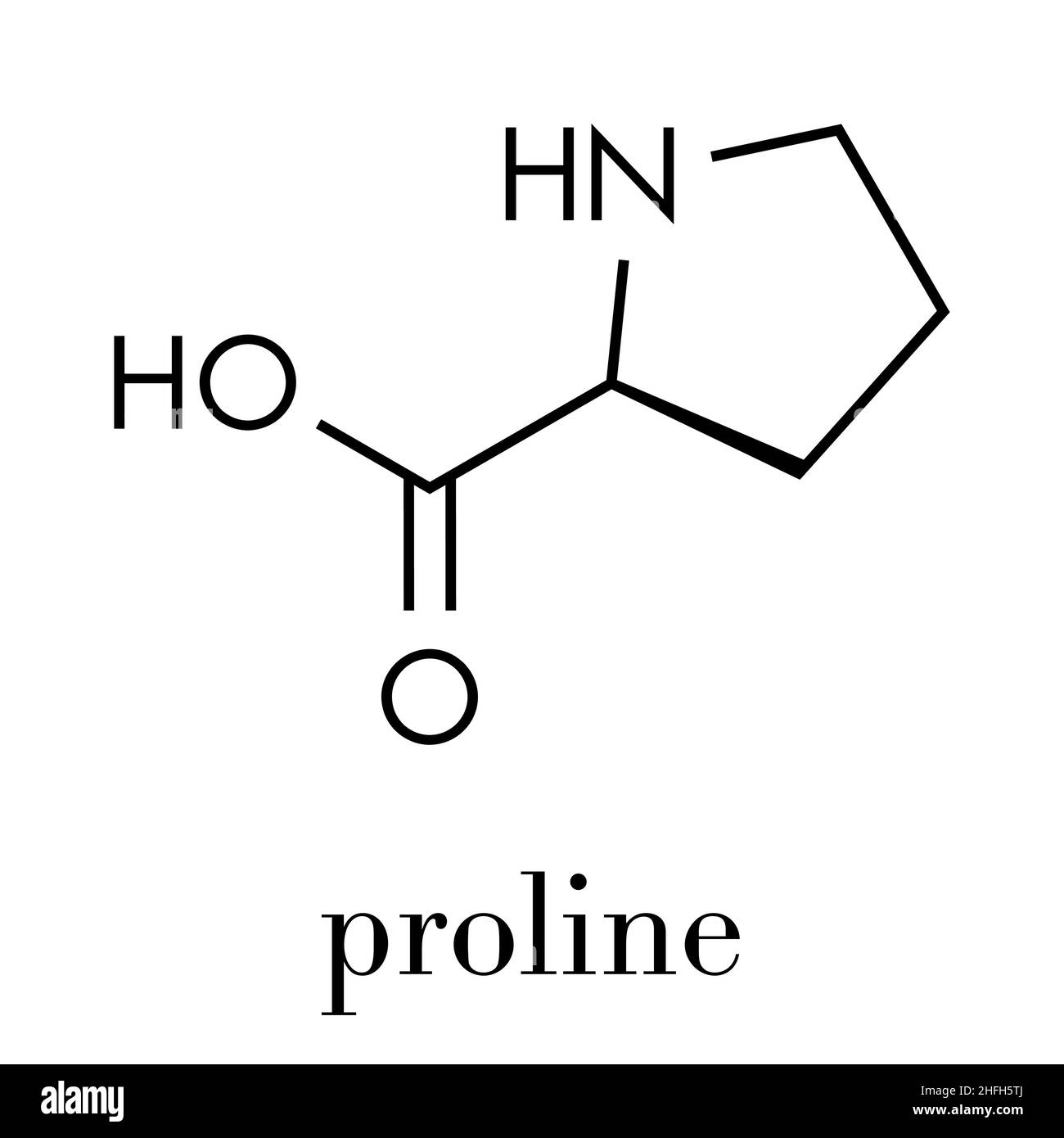 Proline (l-proline, Pro) amino acid molecule. Skeletal formula. Stock Vector
