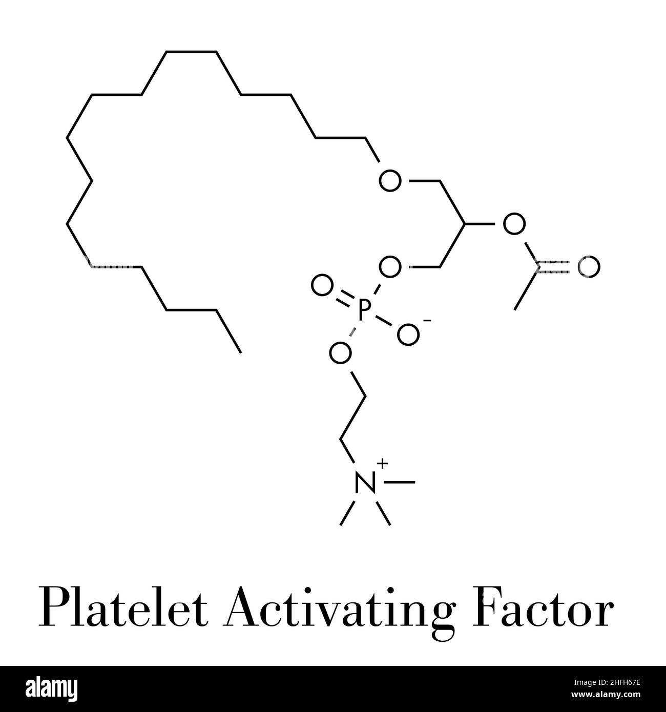 Platelet Activating Factor (PAF) signaling molecule. Skeletal formula