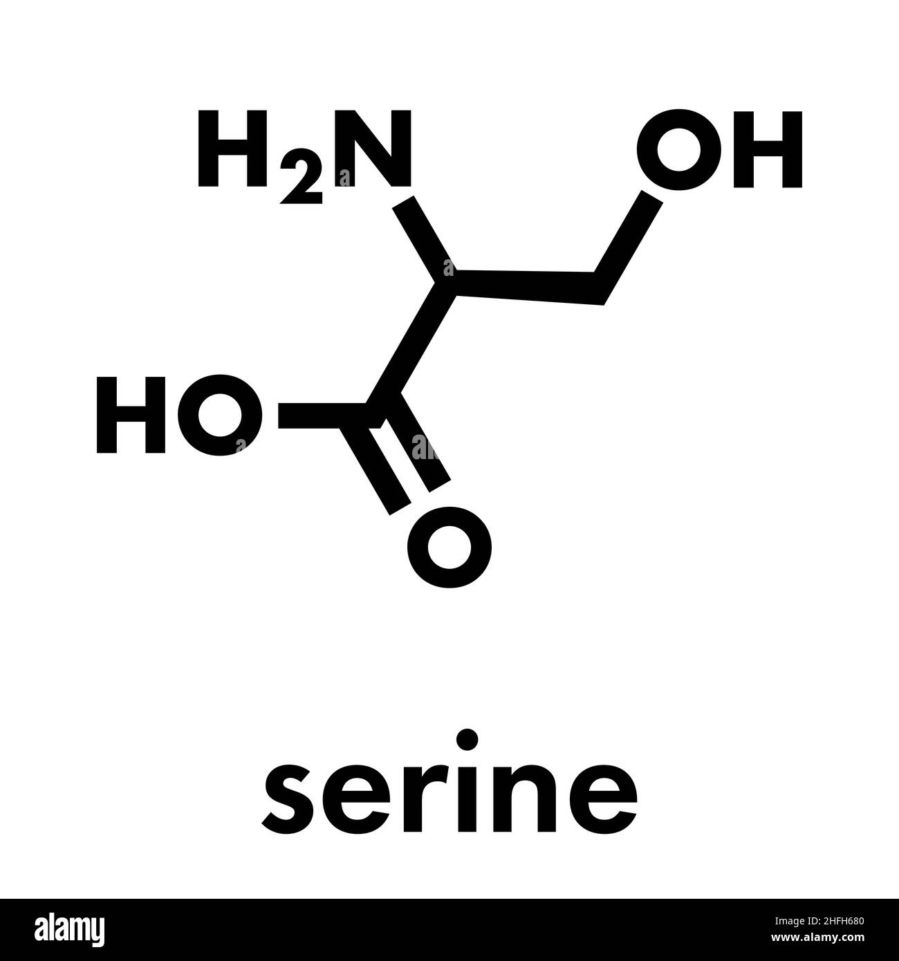 Serine (l-serine, Ser, S) amino acid molecule. Skeletal formula. Stock Vector