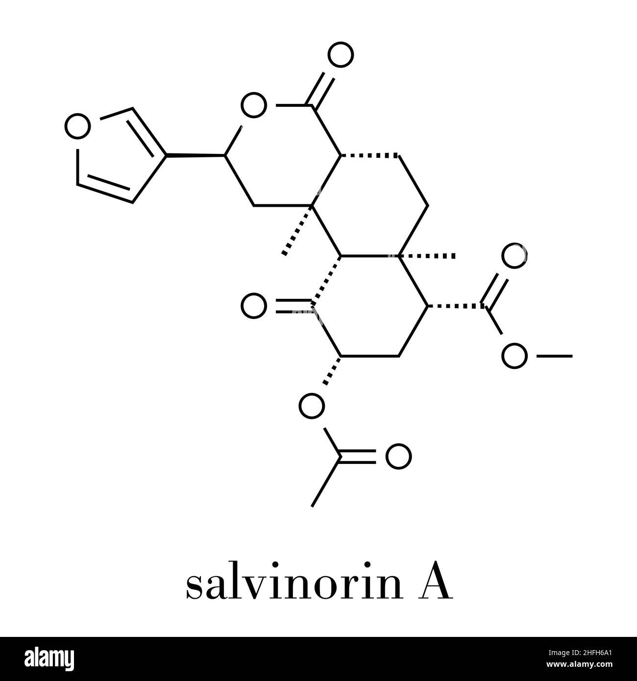 Salvinorin A entheogen molecule. Psychotropic molecule from Salvia divinorum. Skeletal formula. Stock Vector