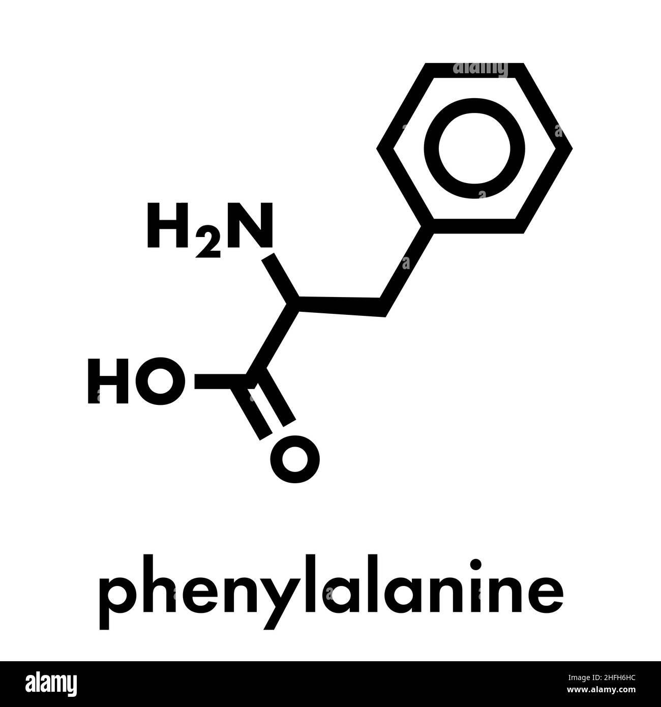 Phenylalanine (l-phenylalanine, Phe, F) amino acid molecule. Skeletal ...