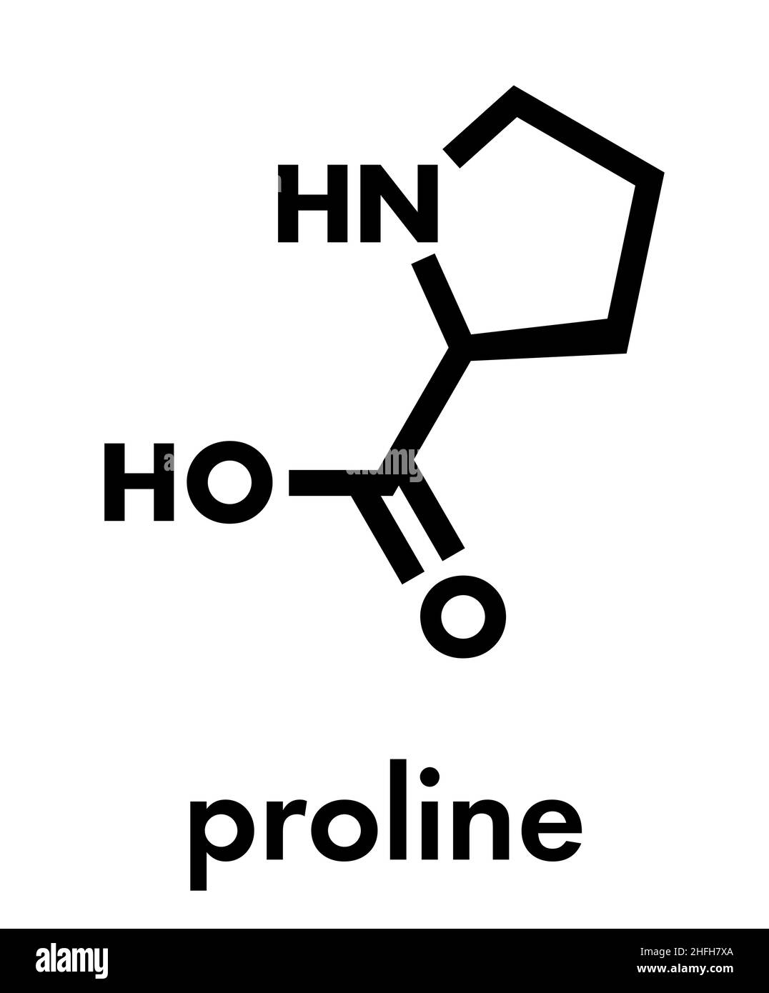 Proline (l-proline, Pro) amino acid molecule. Skeletal formula. Stock Vector