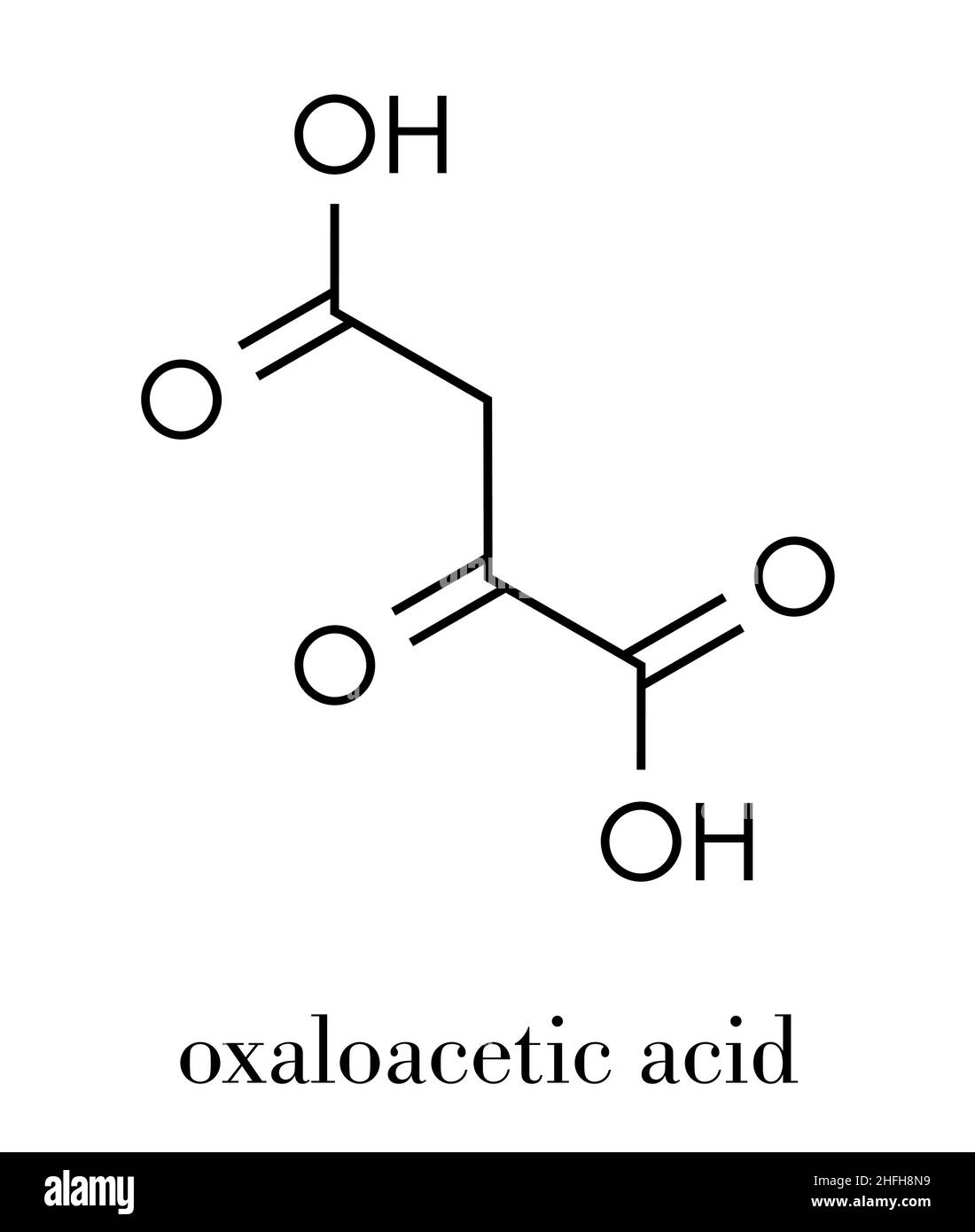 Oxaloacetic acid (oxaloacetate) metabolic intermediate molecule. Skeletal formula. Stock Vector