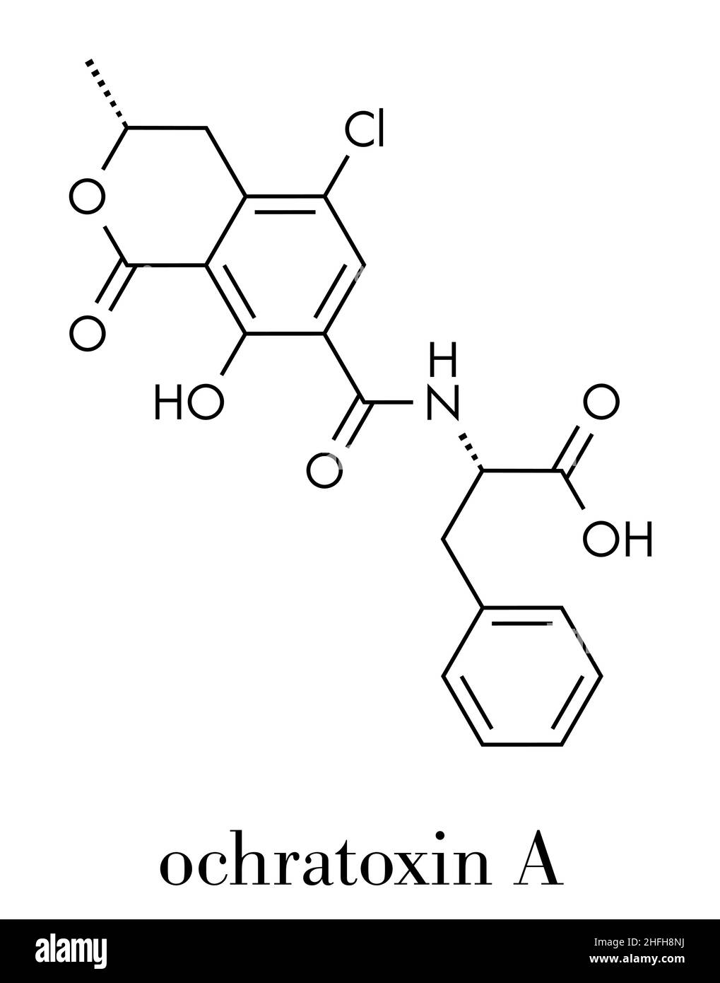 Ochratoxin A mycotoxin molecule. Skeletal formula. Stock Vector