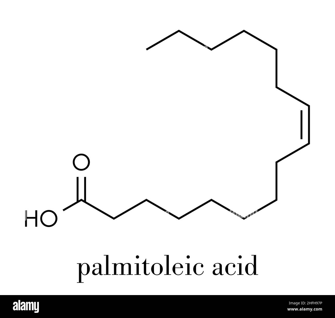 Palmitoleic acid (omega-7) fatty acid molecule. Skeletal formula. Stock Vector