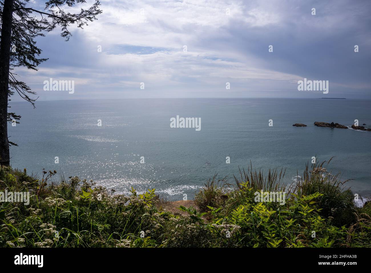 Kalaloch Beach 4 is one of Olympic National Park's best locations for