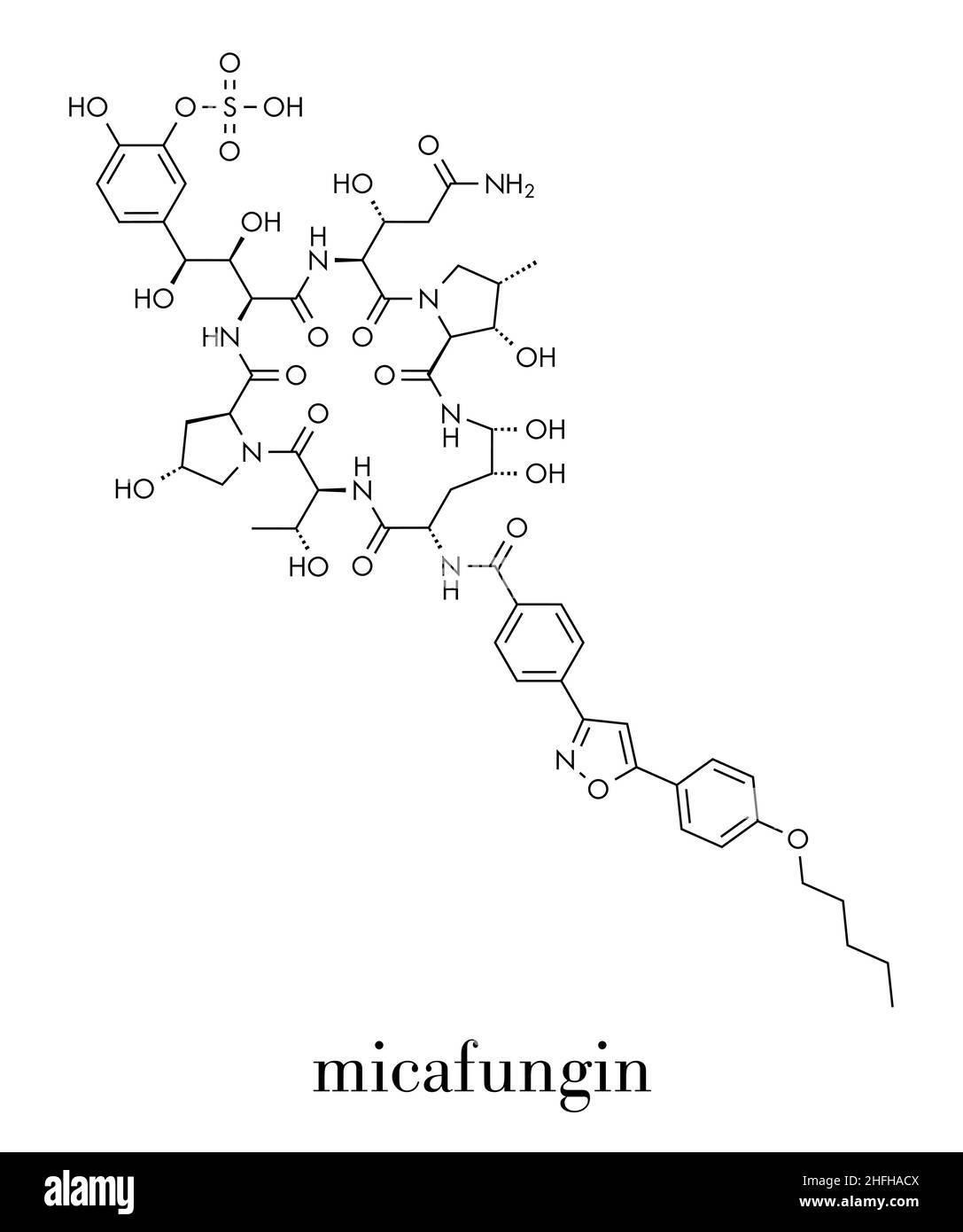 Micafungin antifungal drug molecule. Skeletal formula Stock Vector