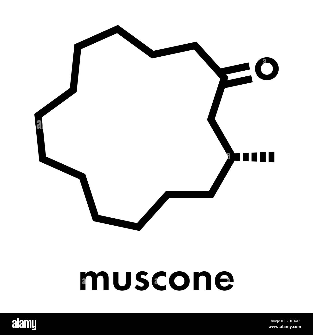 Muscone musk odor molecule. Skeletal formula Stock Vector Image & Art