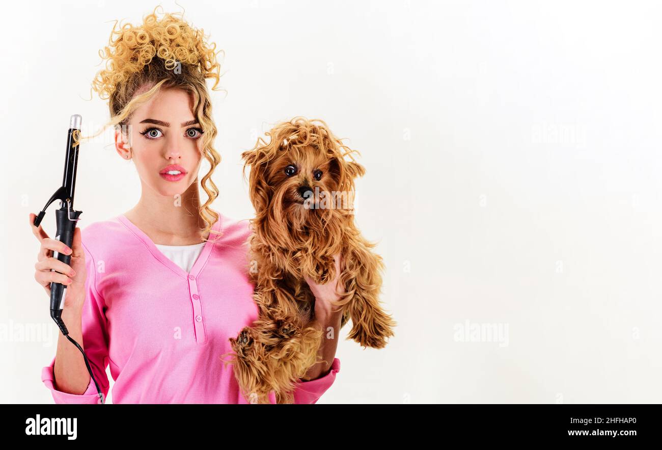 Grooming. Curly girl with Yorkshire terrier. Beauty salon for animals. Dog hairstyle. Woman with pet. Stock Photo