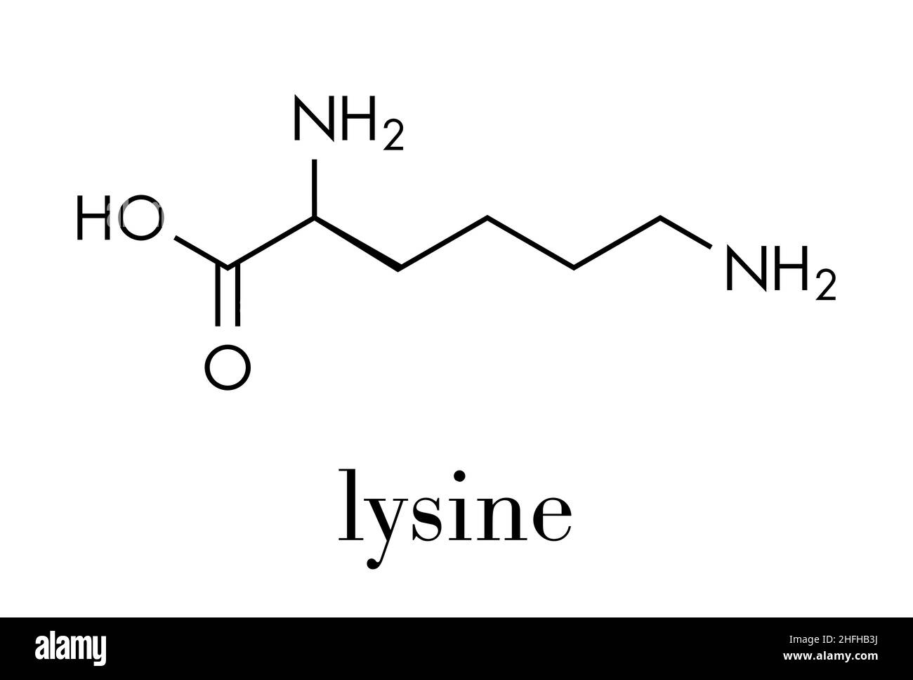Lysine (llysine, Lys, K) amino acid molecule. Skeletal formula Stock