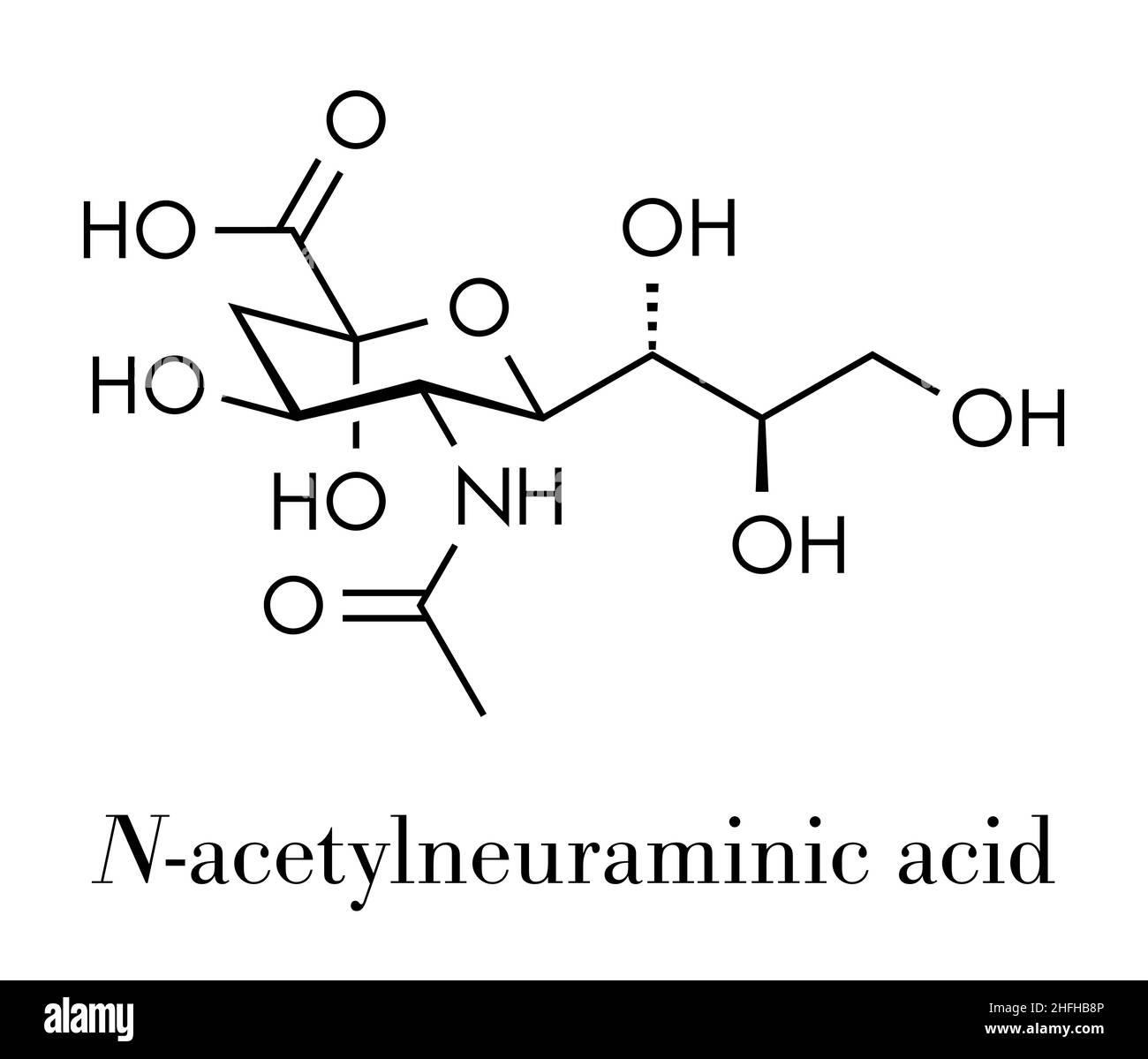 Sialic acid (N-acetylneuraminic acid, Neu5Ac, NANA) molecule. Skeletal formula. Stock Vector