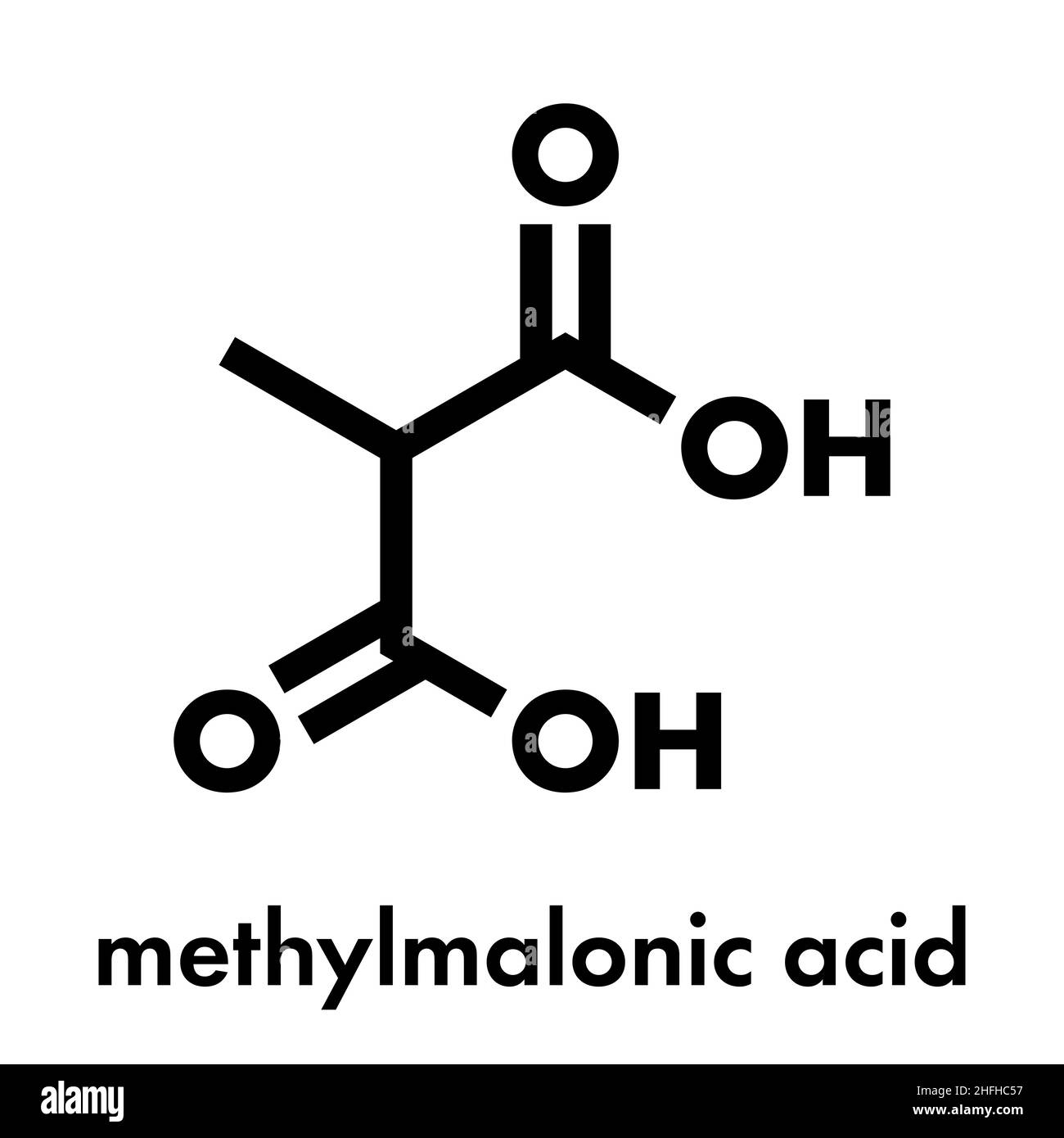 Methylmalonic acid molecule. Increased plasma levels may indicate vitamin B12 deficiency. Skeletal formula. Stock Vector