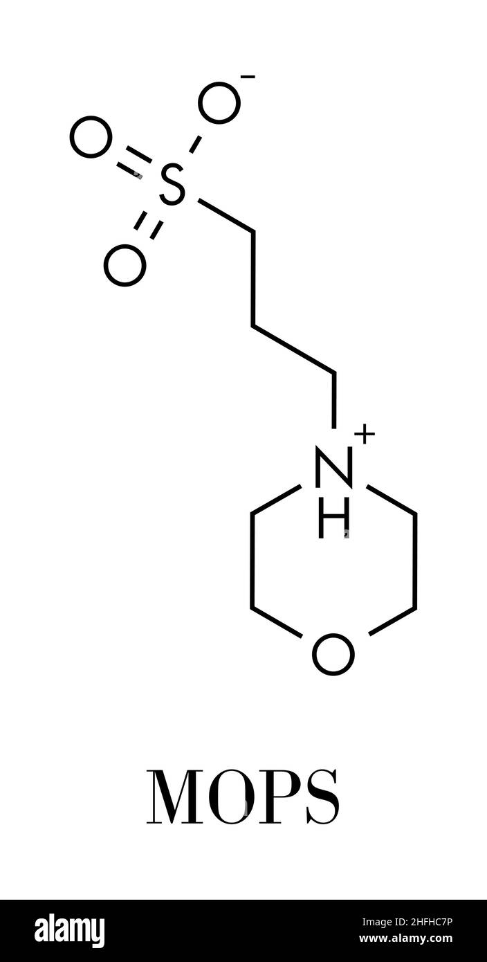 MOPS buffering agent molecule. Skeletal formula Stock Vector Image