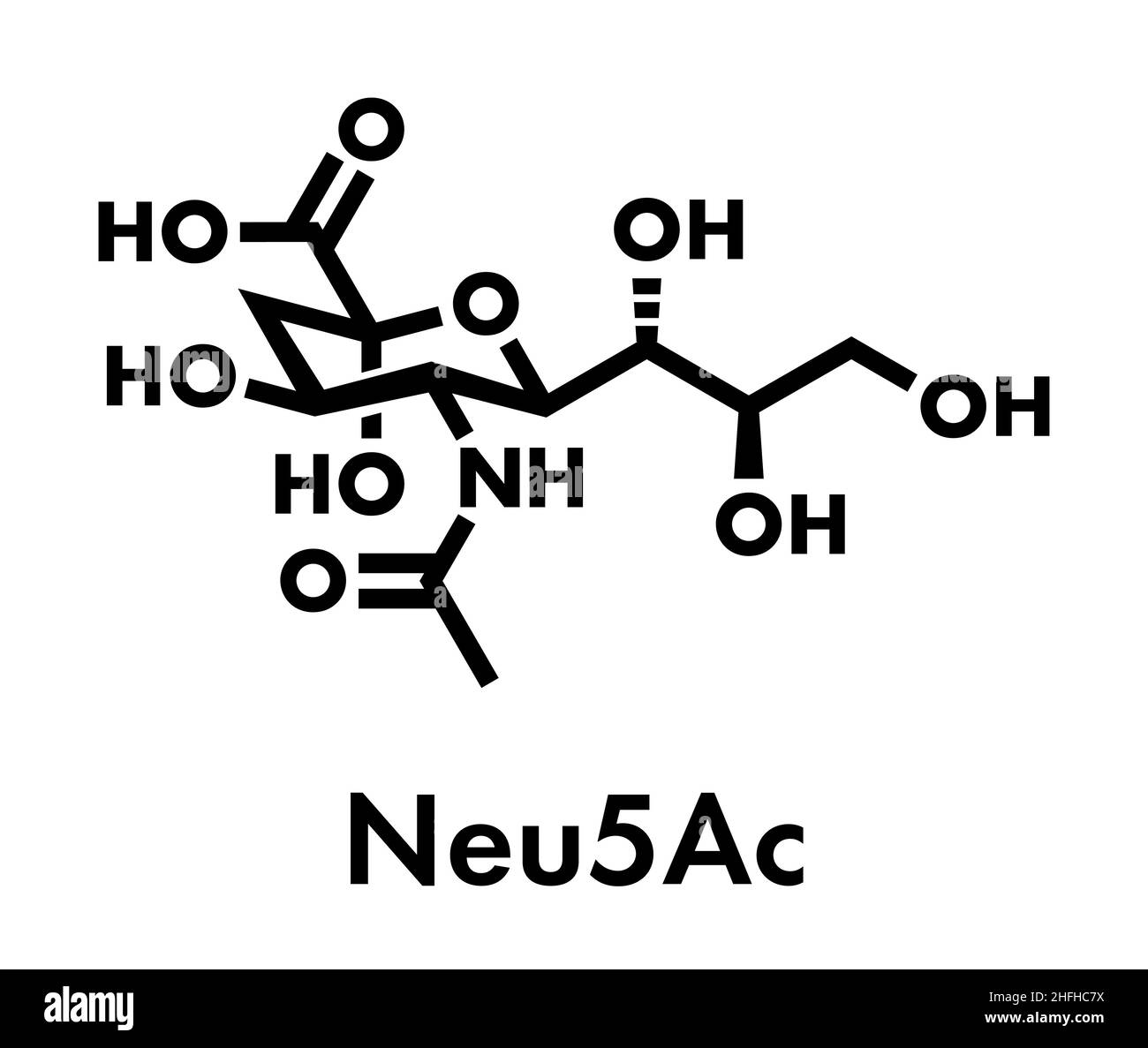Sialic acid (N-acetylneuraminic acid, Neu5Ac, NANA) molecule. Skeletal formula. Stock Vector