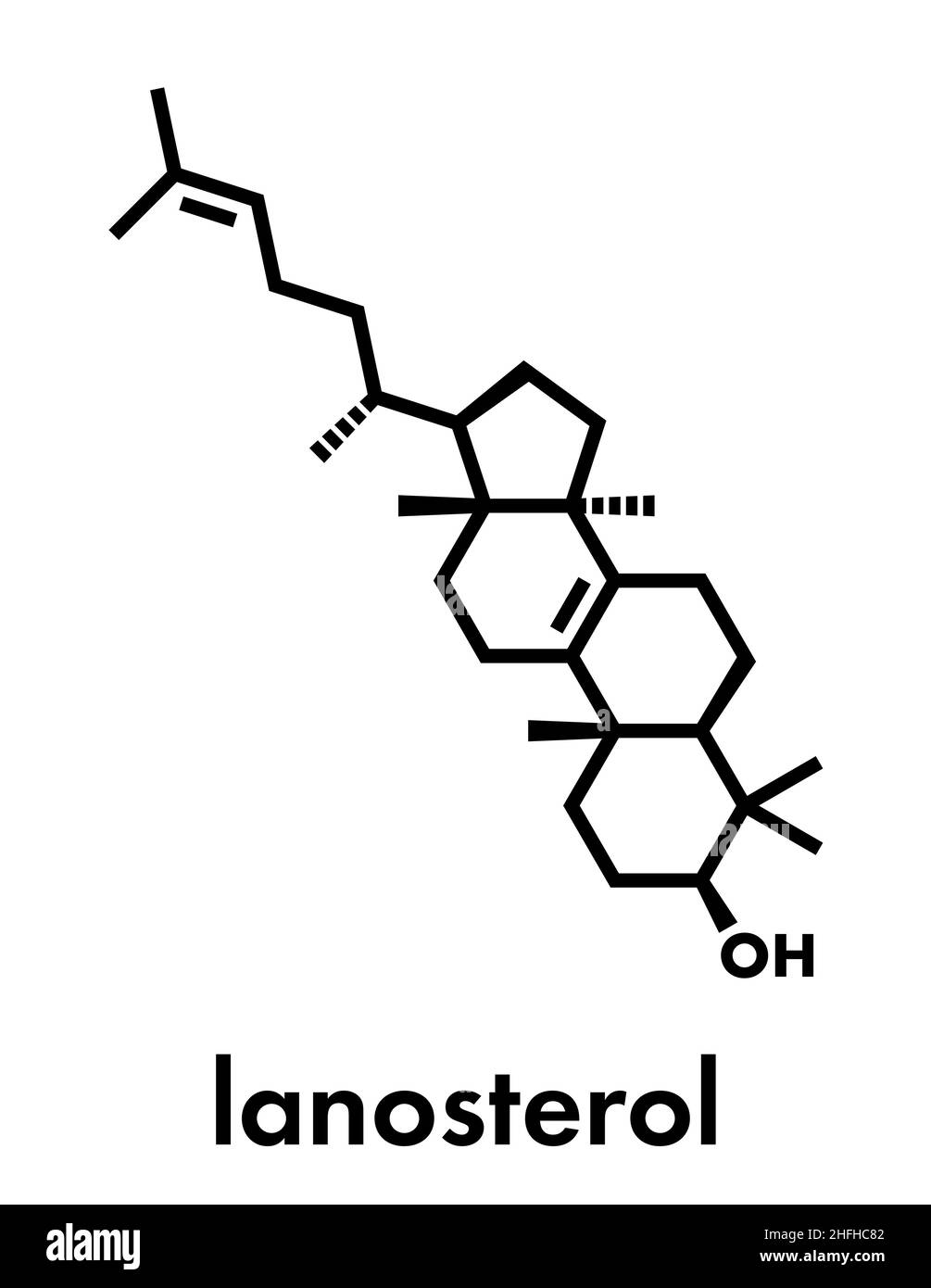 Lanosterol molecule. Investigated for treatment of cataract. Skeletal formula. Stock Vector