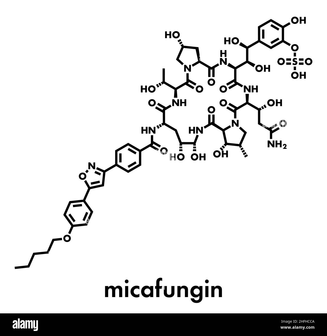 Micafungin antifungal drug molecule. Skeletal formula Stock Vector