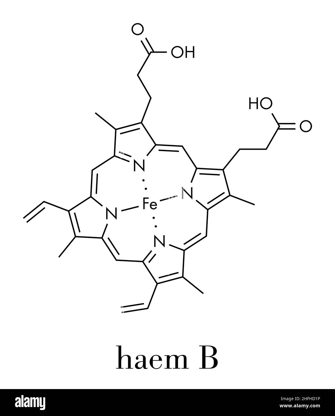 blyant ring Jeg klager Heme B (haem B) molecule. Heme is an essential component of hemoglobin,  myoglobin, cytochrome, catalase and other metalloproteins. Skeletal formula  Stock Vector Image & Art - Alamy