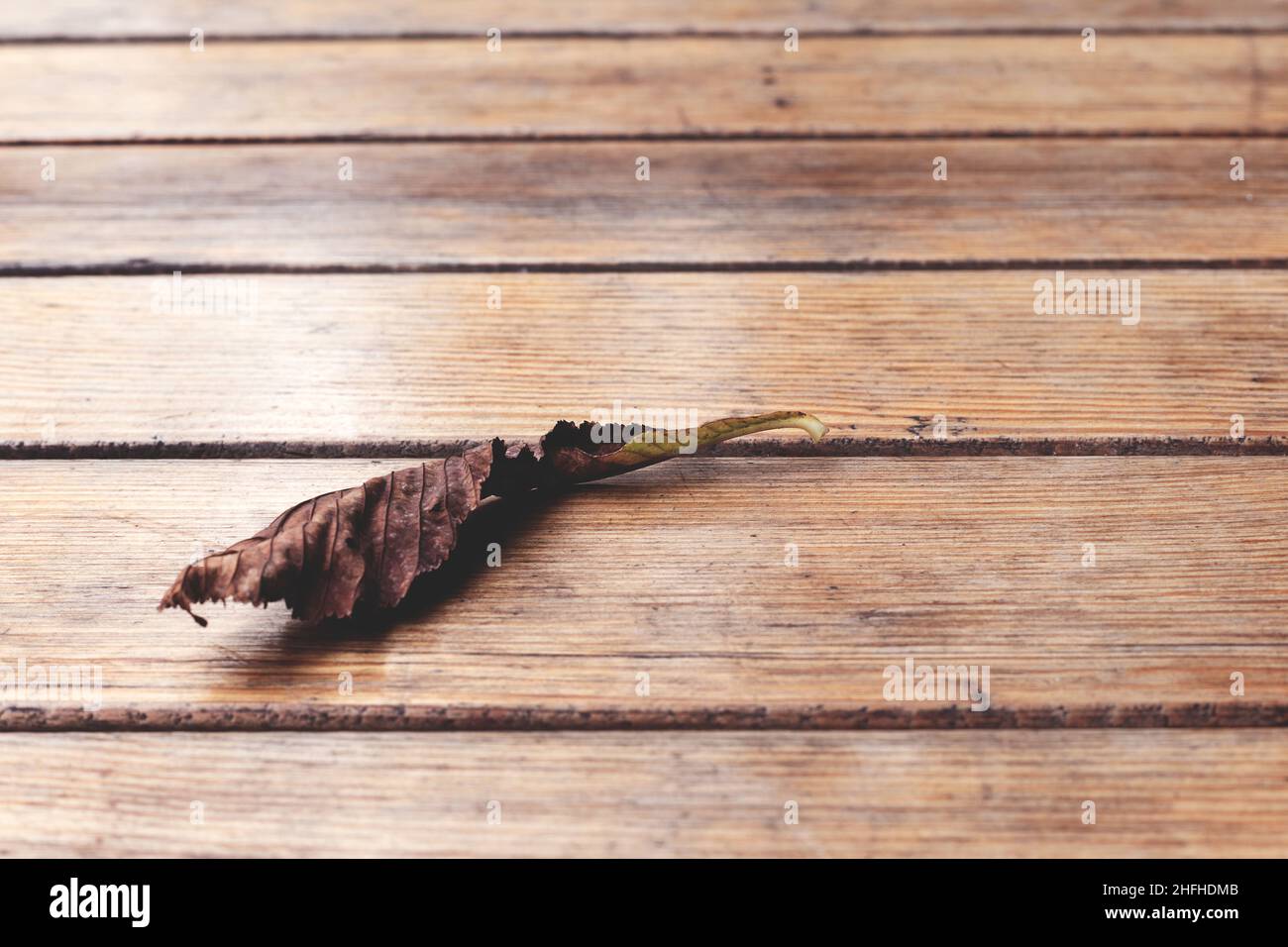 Old wood planks, perfect background for your concept or project. Stock Photo