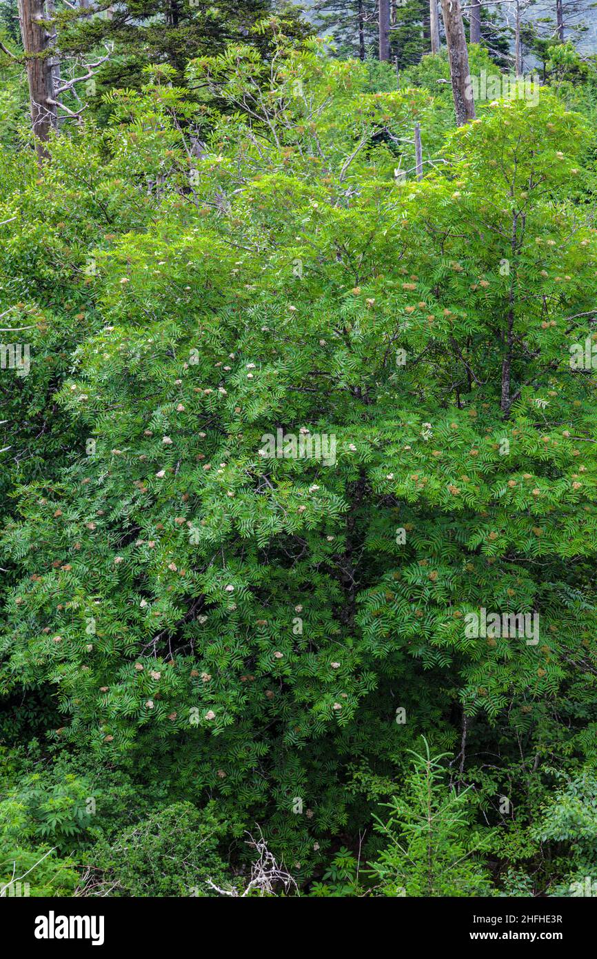 How Is The Environment Changing How Is The Environment Changing