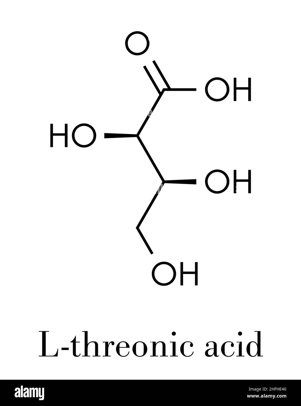 L-Threonic acid molecule. Skeletal formula. Stock Vector