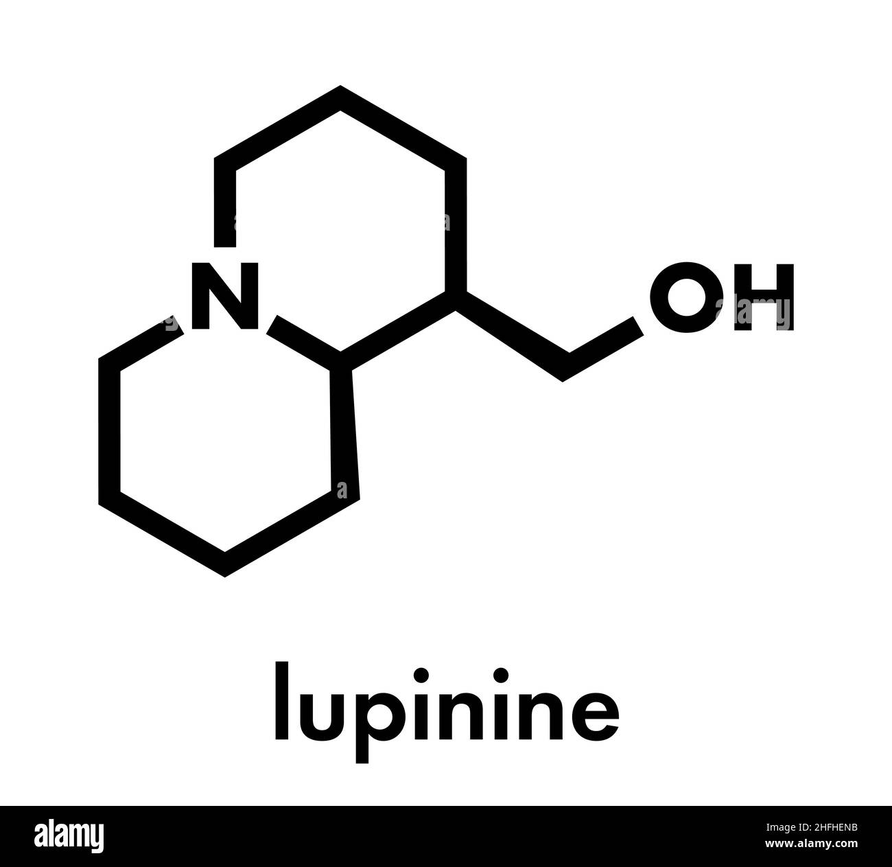 Lupin vector vectors hires stock photography and images Alamy