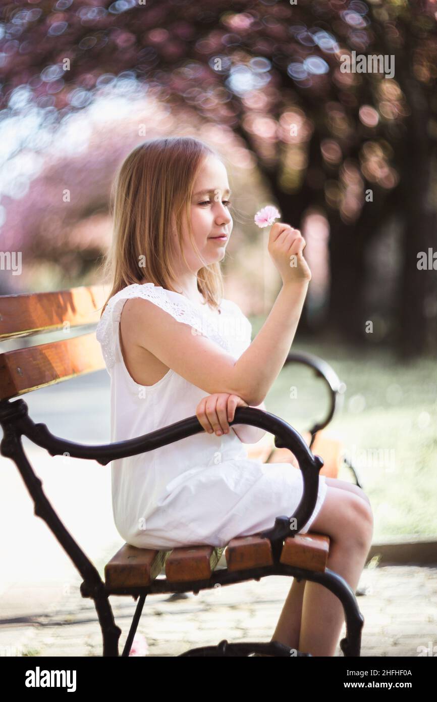 Adorable little girl in white dress sits on a bench in blooming pink ...
