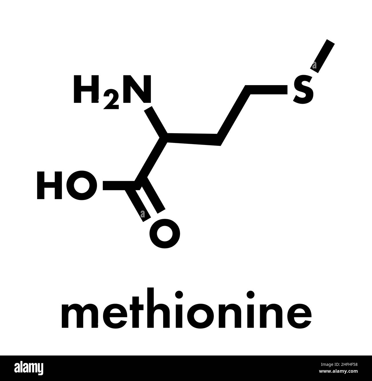 Methionine (L-methionine, Met, M) amino acid molecule. Skeletal formula. Stock Vector