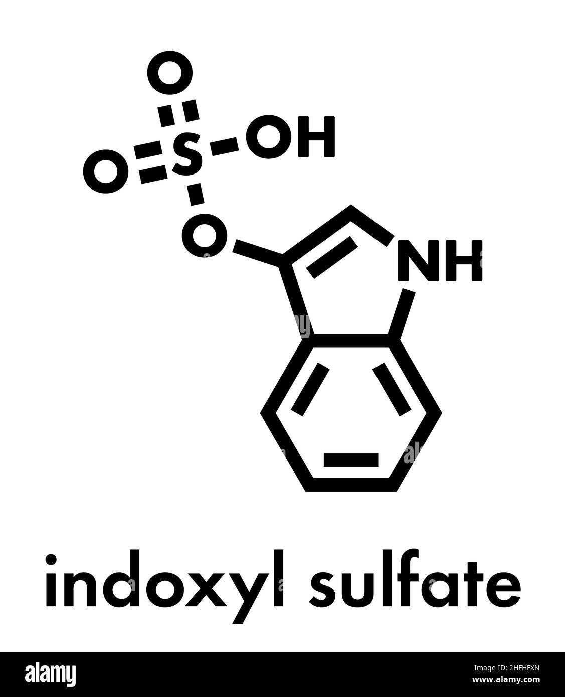 Indoxyl sulfate hires stock photography and images Alamy