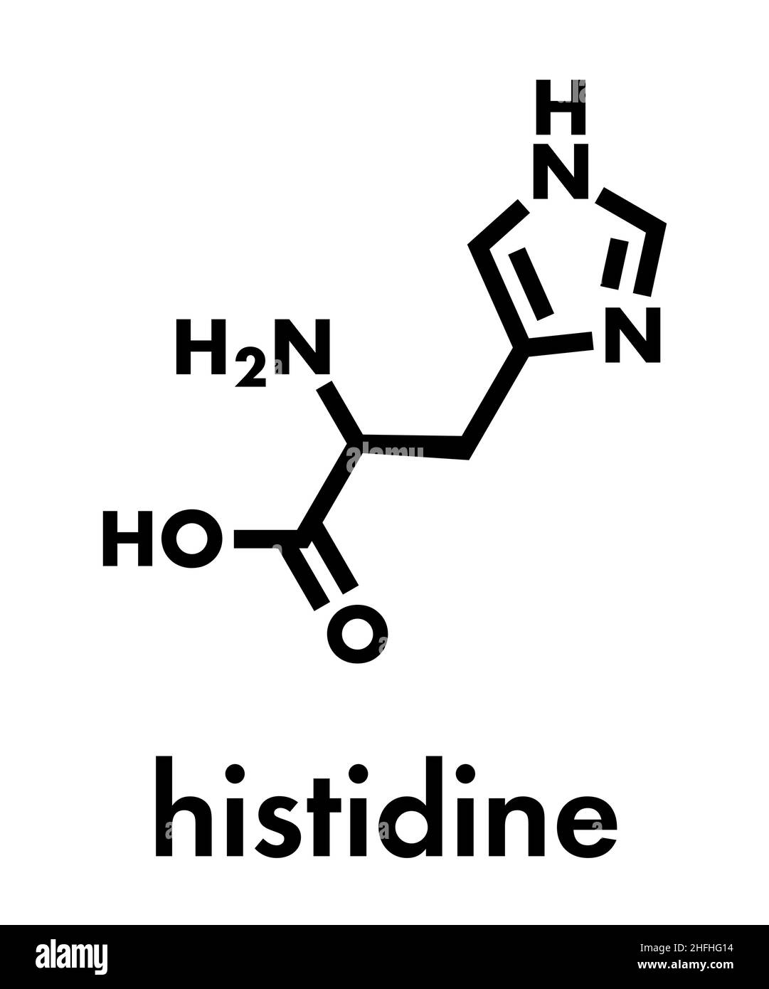 Histidine (l-histidine, his, H) amino acid molecule. Skeletal formula. Stock Vector