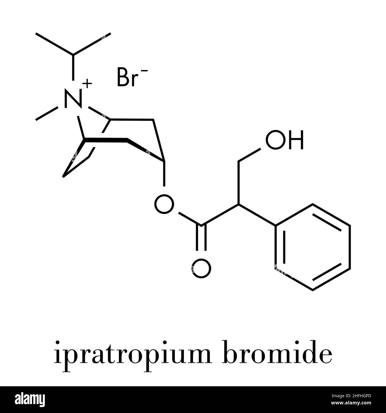 Ipratropium bromide asthma and COPD drug molecule. Often administered via inhaler. Skeletal formula. Stock Vector