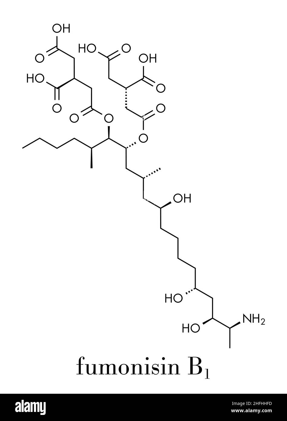 Fumonisin B1 mycotoxin molecule. Fungal toxin produced by some Fusarium molds, often present in corn and other cereals. Skeletal formula. Stock Vector