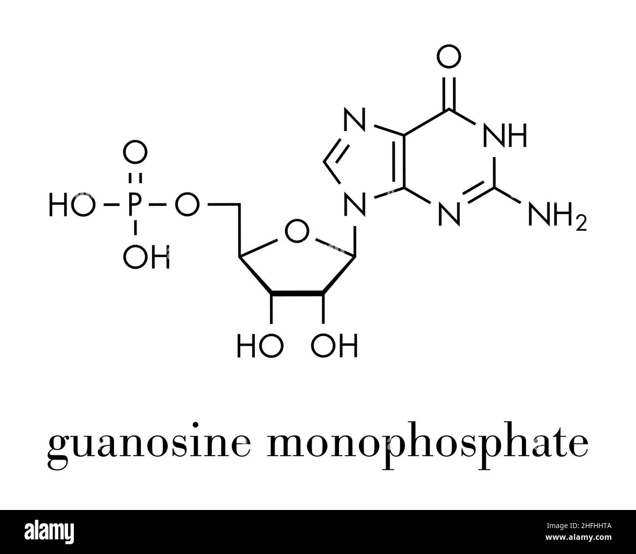 Guanosine monophosphate (GMP, guanylic acid) RNA building block molecule. Guanylate salts are used as umami flavor enhancers in food. Skeletal formula Stock Vector