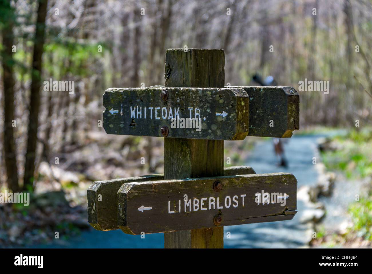 Shenandoah National Park, VA - May 79 2018:Trail marker for White Oak Limberlost Stock Photo