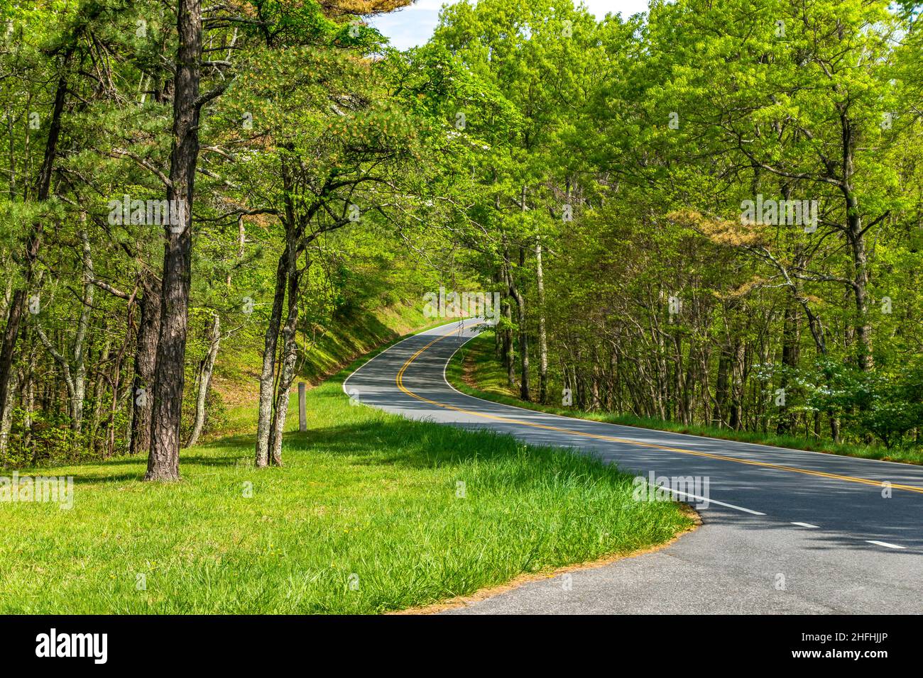 Curved road during the Spring in the Mountains skyline drive Stock Photo