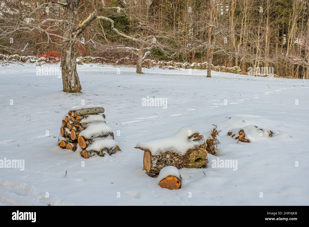 Firewood cut for the wood stove in an apple orchard in New Salem, MA Stock Photo