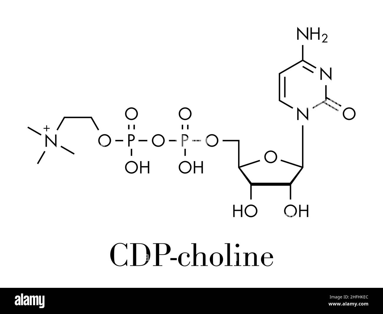Citicoline (CDP-choline) molecule. Skeletal formula. Stock Vector
