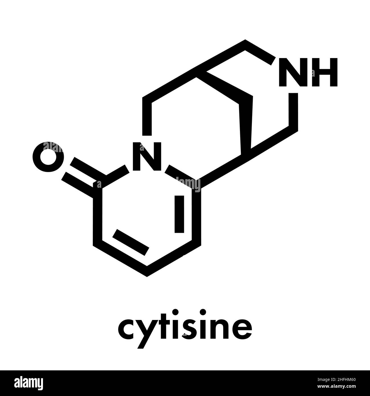 Cytisine (baptitoxine, sophorine) smoking cessation drug molecule. Skeletal formula. Stock Vector