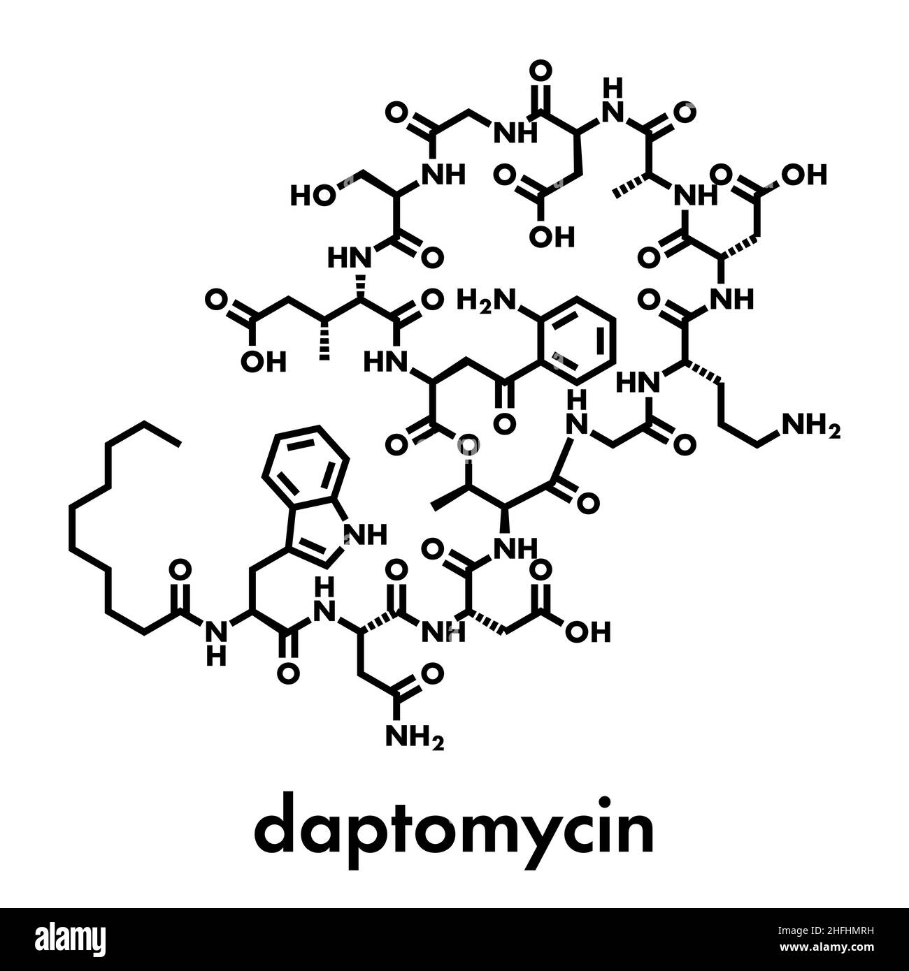 Daptomycin antibiotic drug molecule. Skeletal formula Stock Vector