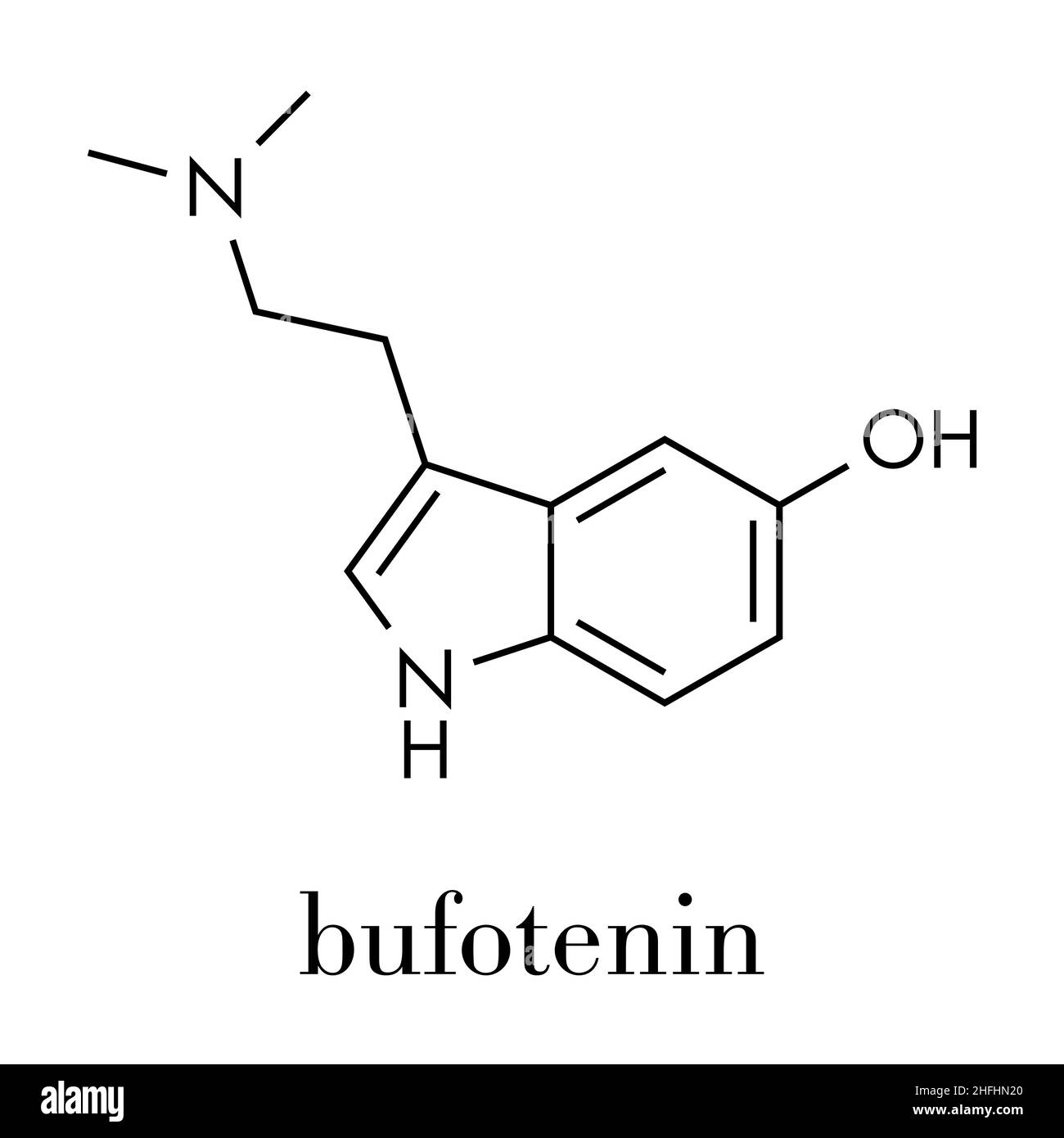 Bufotenin molecule. Tryptamine present in several psychedelic toads. Skeletal formula. Stock Vector