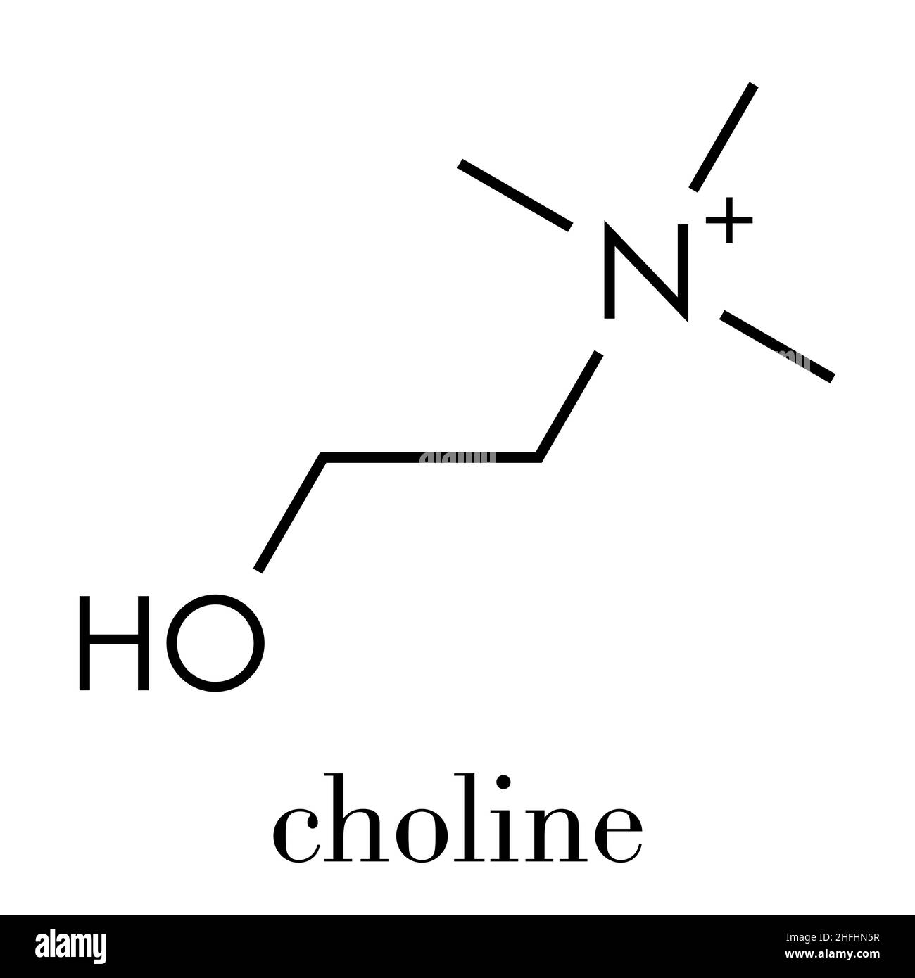 Choline essential nutrient molecule. Skeletal formula Stock Vector