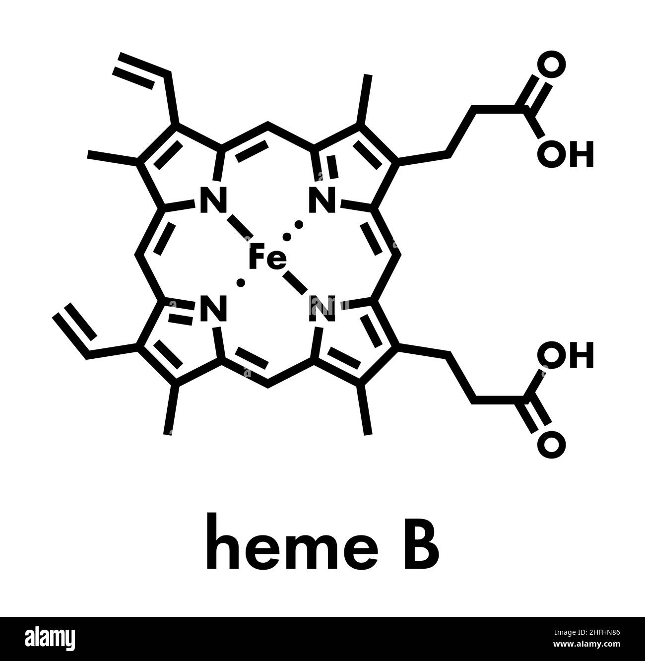 Heme B (haem B) molecule. Heme is an essential component of hemoglobin, myoglobin, cytochrome, catalase and other metalloproteins. Skeletal formula. Stock Vector