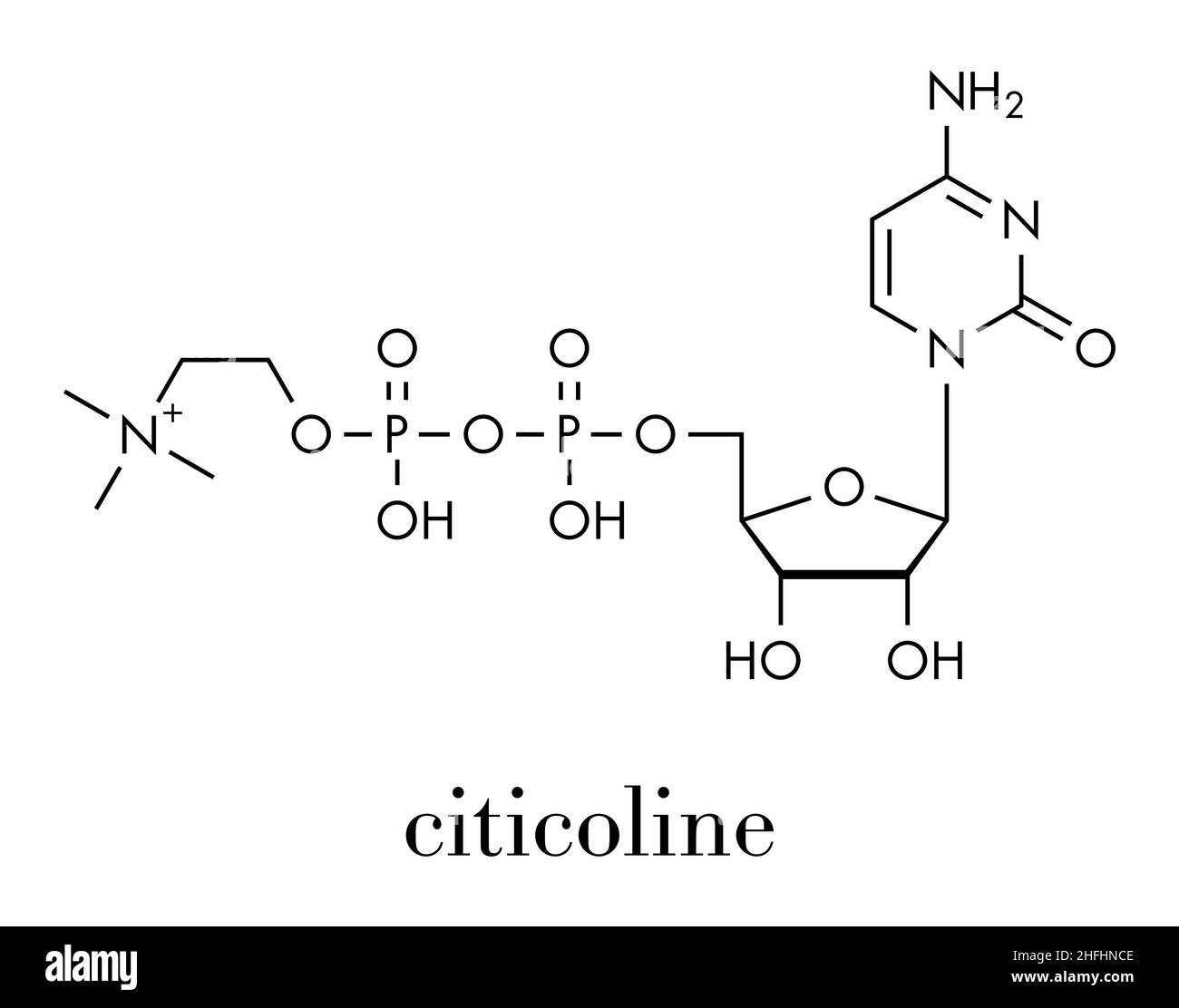 Citicoline (CDP-choline) molecule. Skeletal formula. Stock Vector