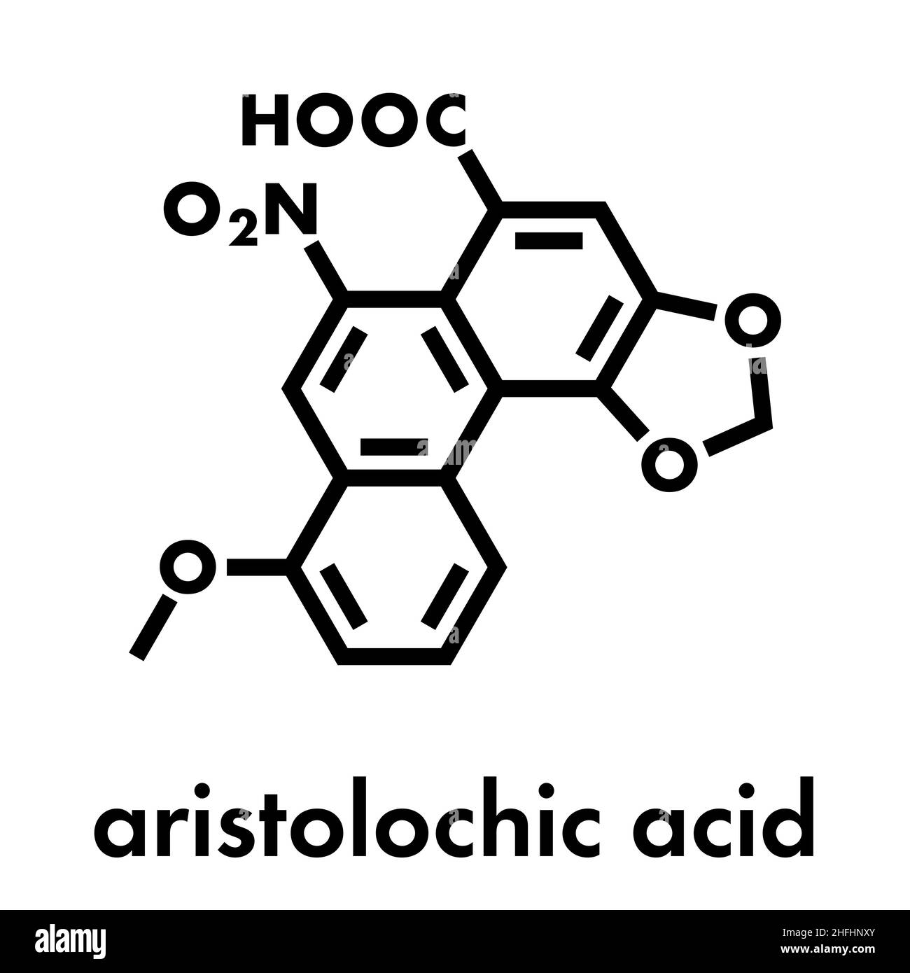 Aristolochic acid plant poison molecule. Has carcinogenic and nephrotoxic (kidney damaging) properties. Found in Aristolochia and Asarum herbs, often Stock Vector