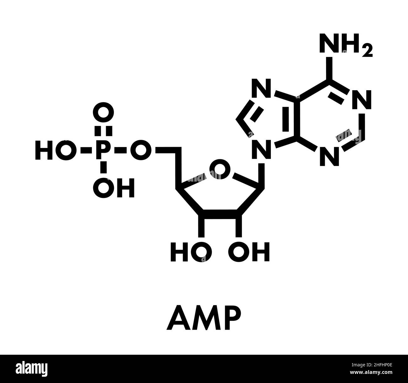 Adenosine Monophosphate Structure