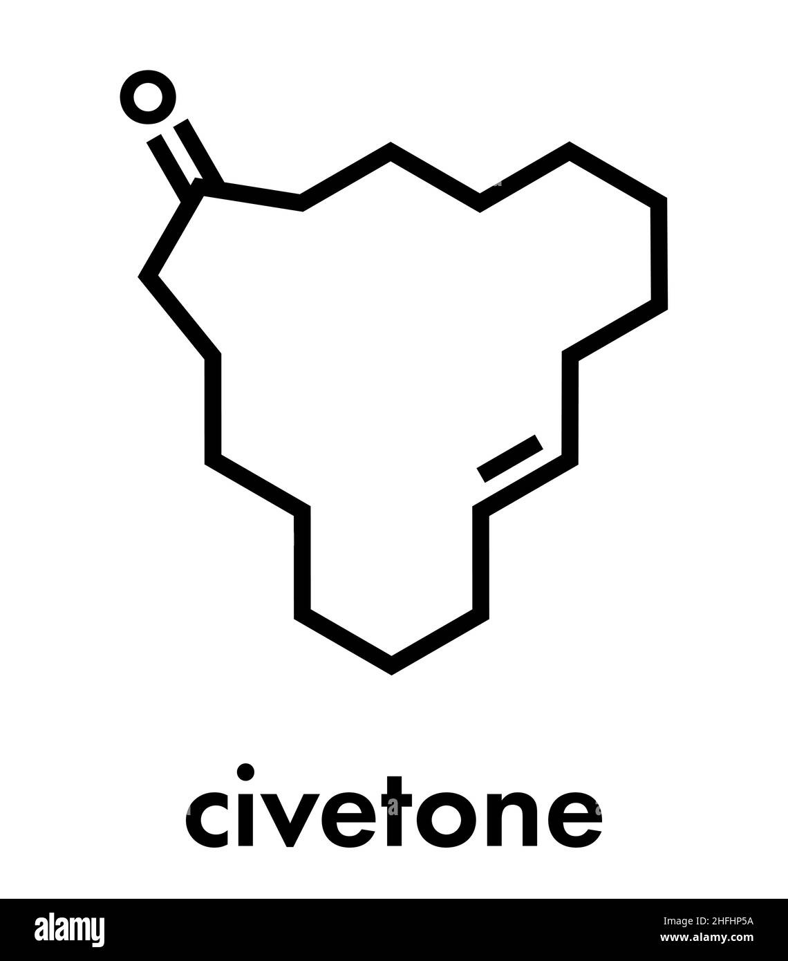 Civetone civet cat pheromone molecule. Used in perfume. Skeletal
