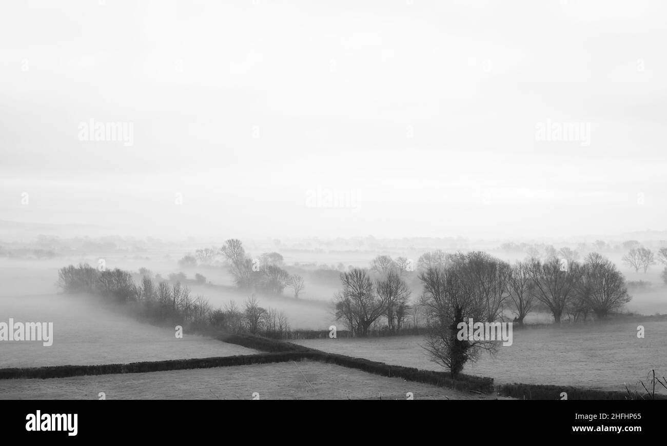 January 2022 - Low winter mist across the moors near the village on Wedmore in rural Somerset, England, UK Stock Photo