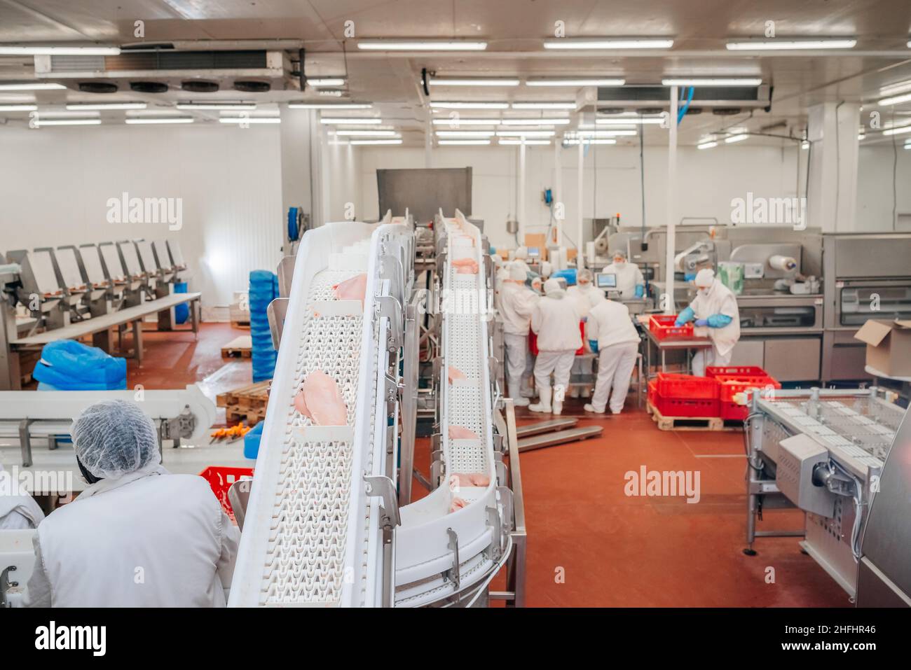 Chicken fillet production line . Factory for the production of food ...