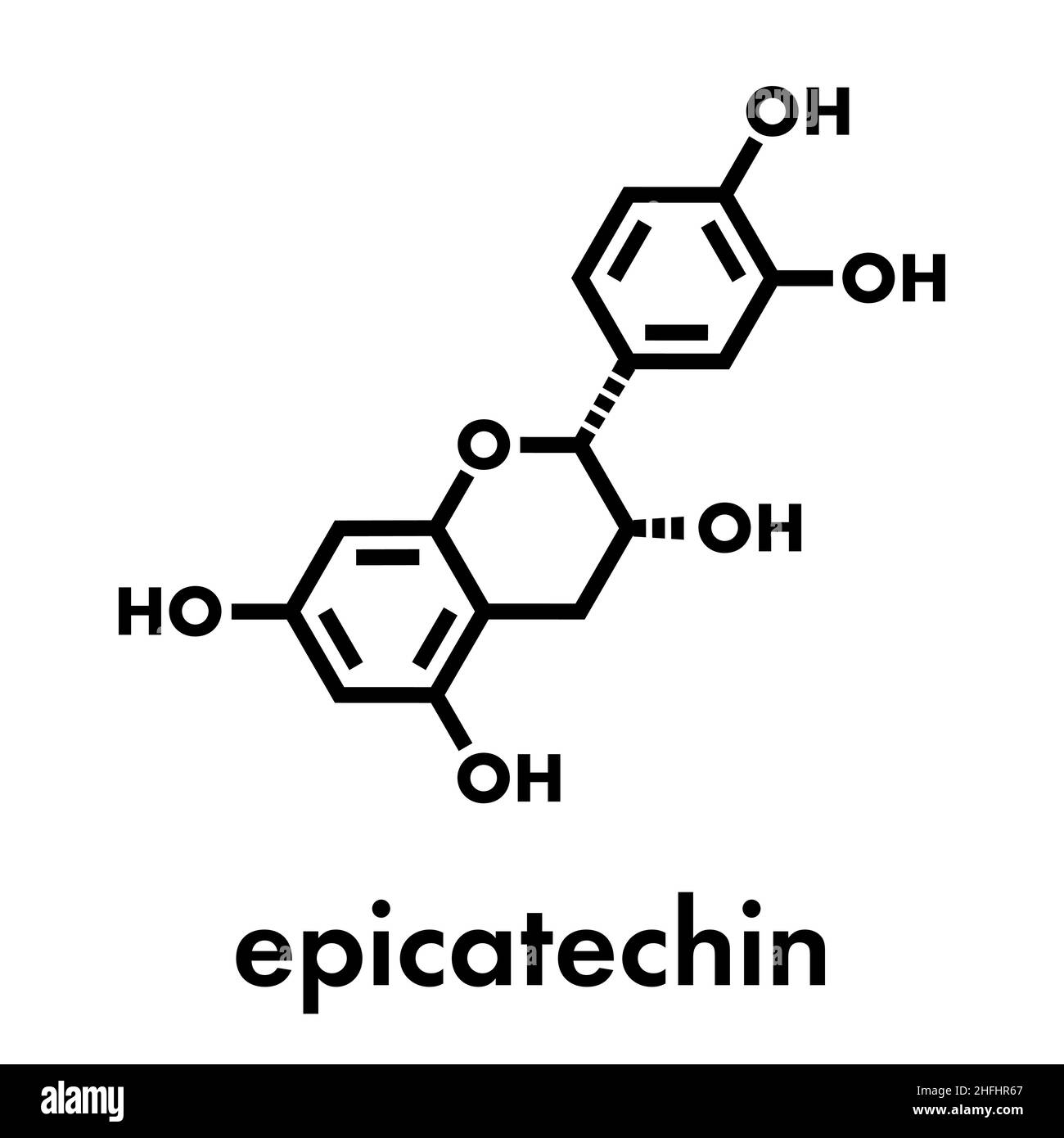Epicatechin (l-epicatechin) chocolate flavonoid molecule. Skeletal formula. Stock Vector