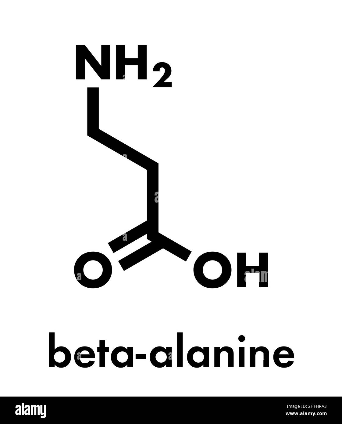 Betaalanine molecule. Naturally occurring beta amino acid. Precursor